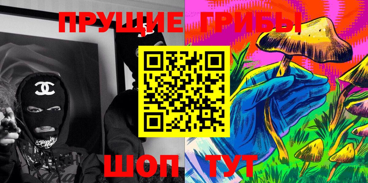 Губаха  Псилоцибиновые грибы Psilocybine cubensis  как найти закладки  Вход с VPN 